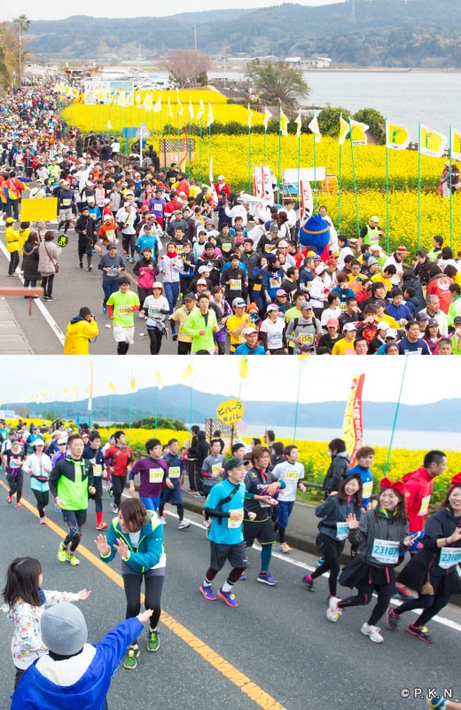 Running in the breath-taking sceneries Ibusuki
Rape blossoms marathon