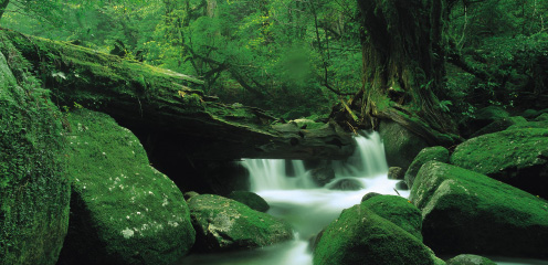 個性的な鹿児島の温泉を満喫